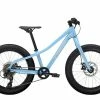 Trek Roscoe 20 2023 | Enfant 2 Trek Roscoe 20 2023 | Enfant -Promos Pièces détachées Boutique 601842444948 1
